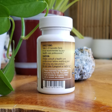 Load image into Gallery viewer, Kava Extract Powder Capsules (45ct)